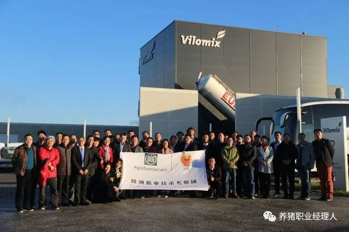 走进丹麦猪场看细节 揭秘PSY41背后的高效养殖之道